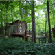 Illustration for article titled Treehouse in the middle of Atlanta